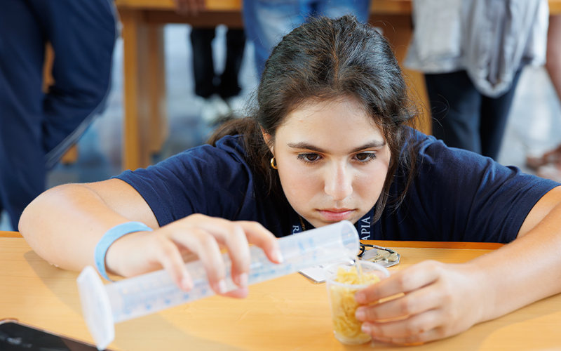 Students building reservoirs